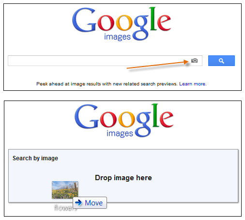 google search by image