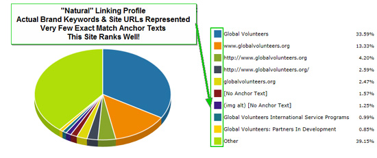 Natural Anchor Text Profile Example