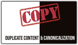 Duplicate Content Canonical Graphic