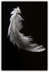 feather